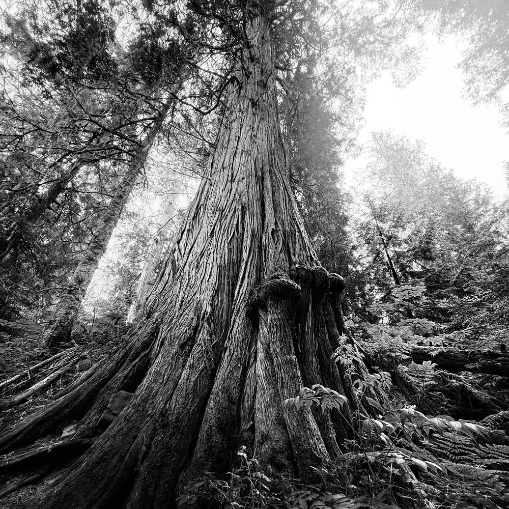 Meet your Posher, Kristy